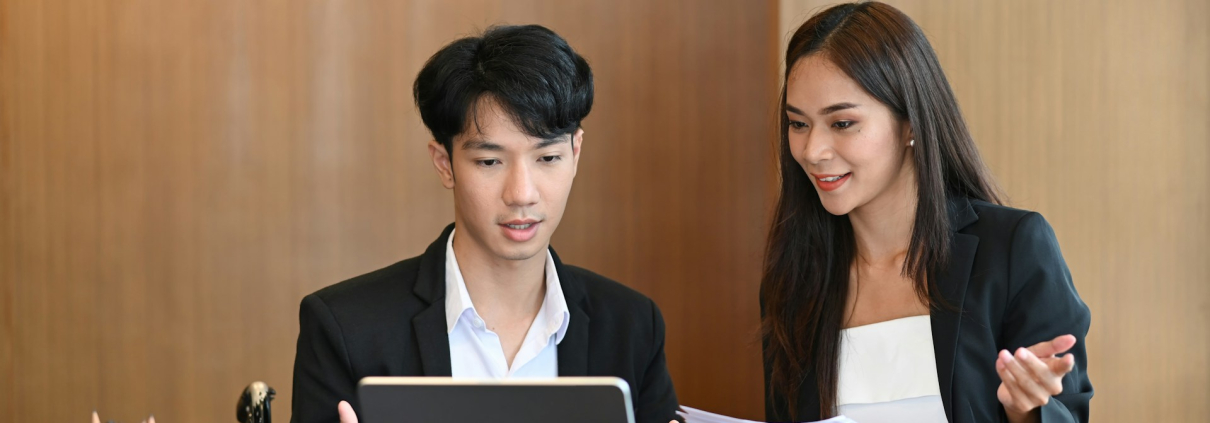 Technology Consulting